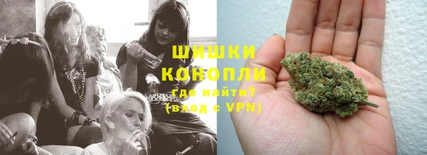 шишки Алексеевка