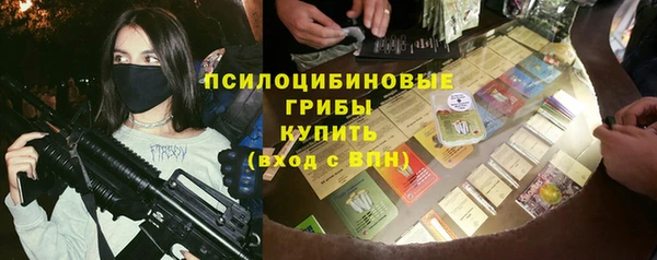 шишки Алексеевка