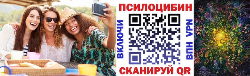 Галлюциногенные грибы Psilocybe  купить закладку  Ачинск 